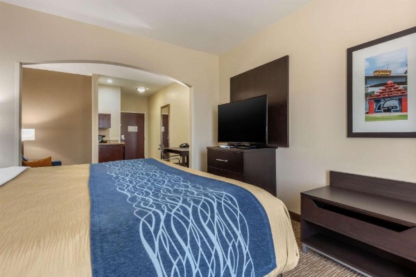 Comfort Inn & Suites North Little Rock near I-40 image 28