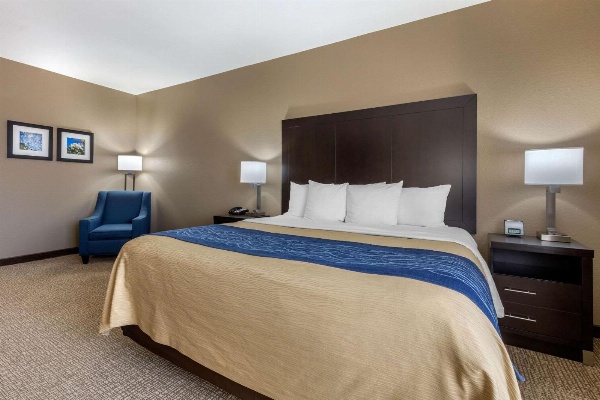 Comfort Inn & Suites North Little Rock near I-40 image 7